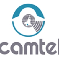 Les raisons de l'échec de CAMTEL dans la téléphonie mobile au Cameroun